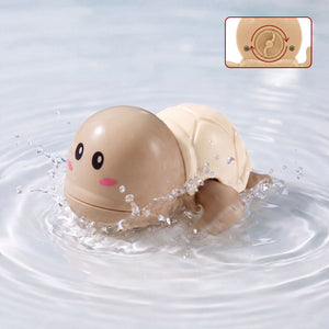 Ivory Shell Turtle